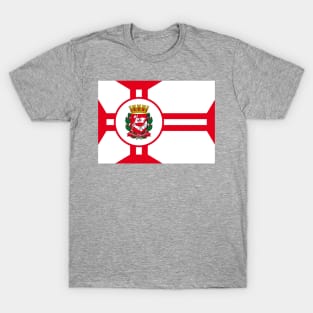 Flag of Sao Paulo Brazil T-Shirt